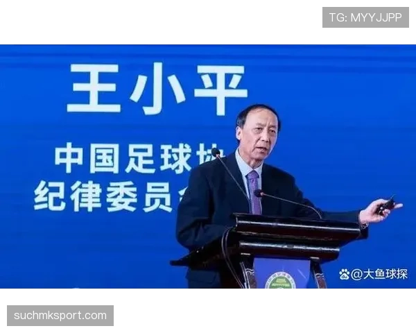 裁判职责：比赛控制、判罚与纪律执行的关键标准